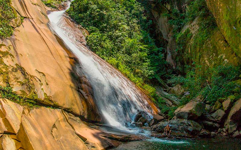 Caída de agua entre vegetación